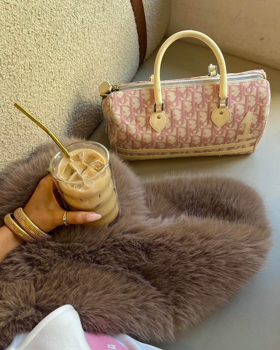 DIOR x John Galliano pink trotter Boston bag