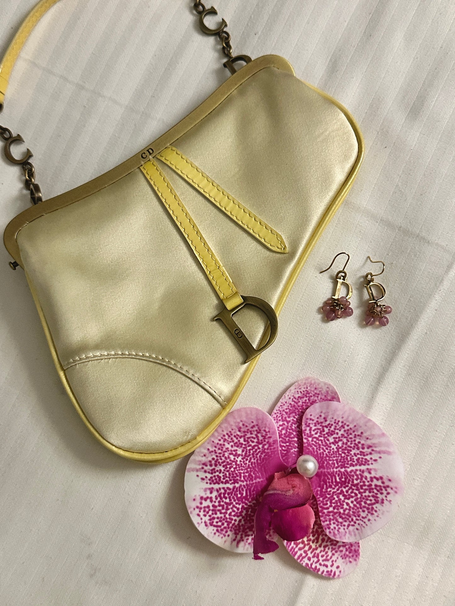 DIOR mini silk saddle bag