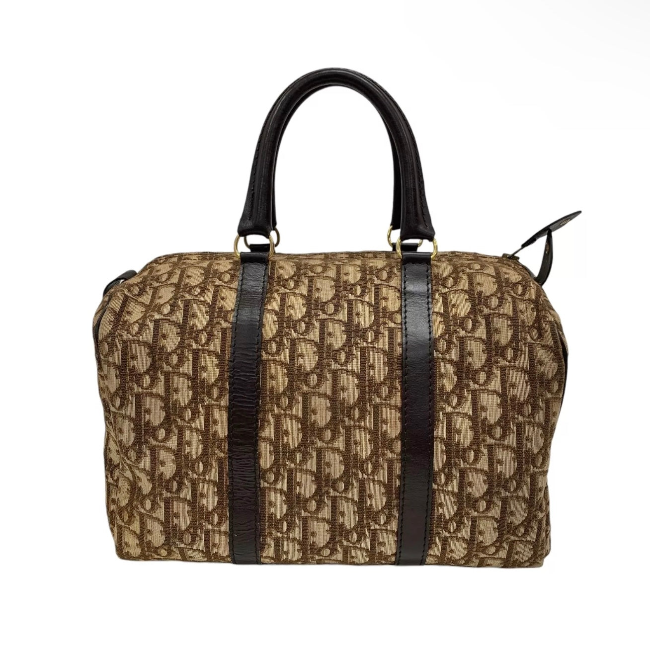 DIOR boston trotter bag