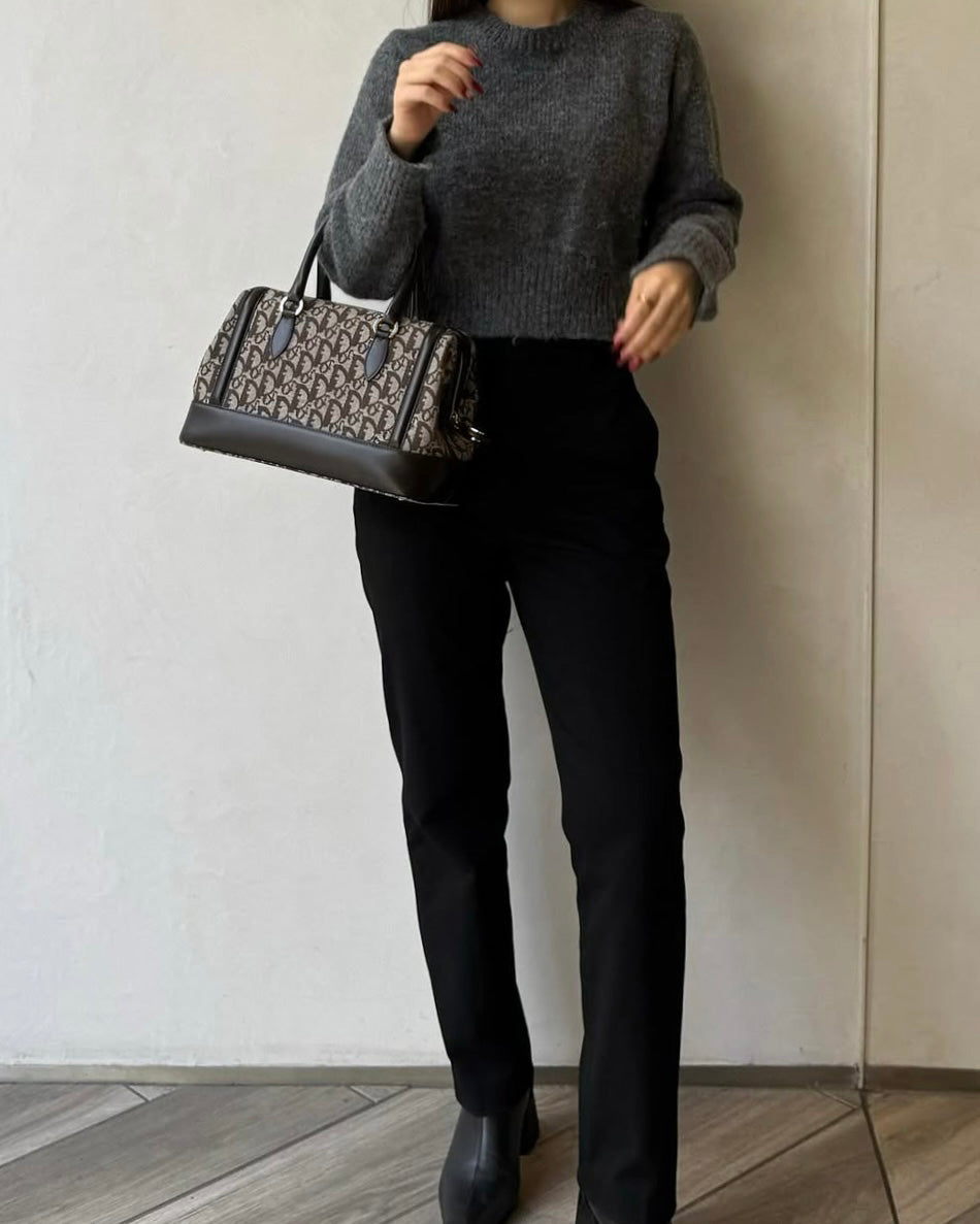 DIOR boston trotter bag