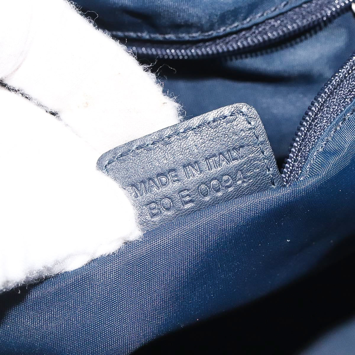 DIOR diorissimo charms trotter handbag