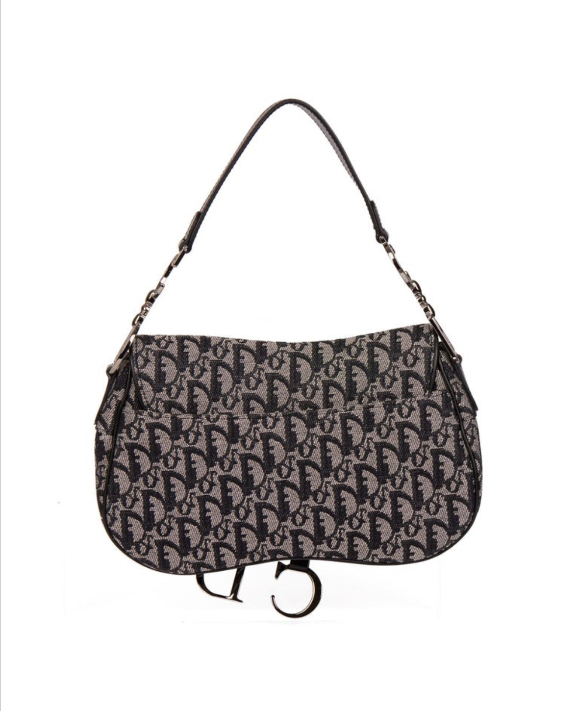 DIOR double saddle bag