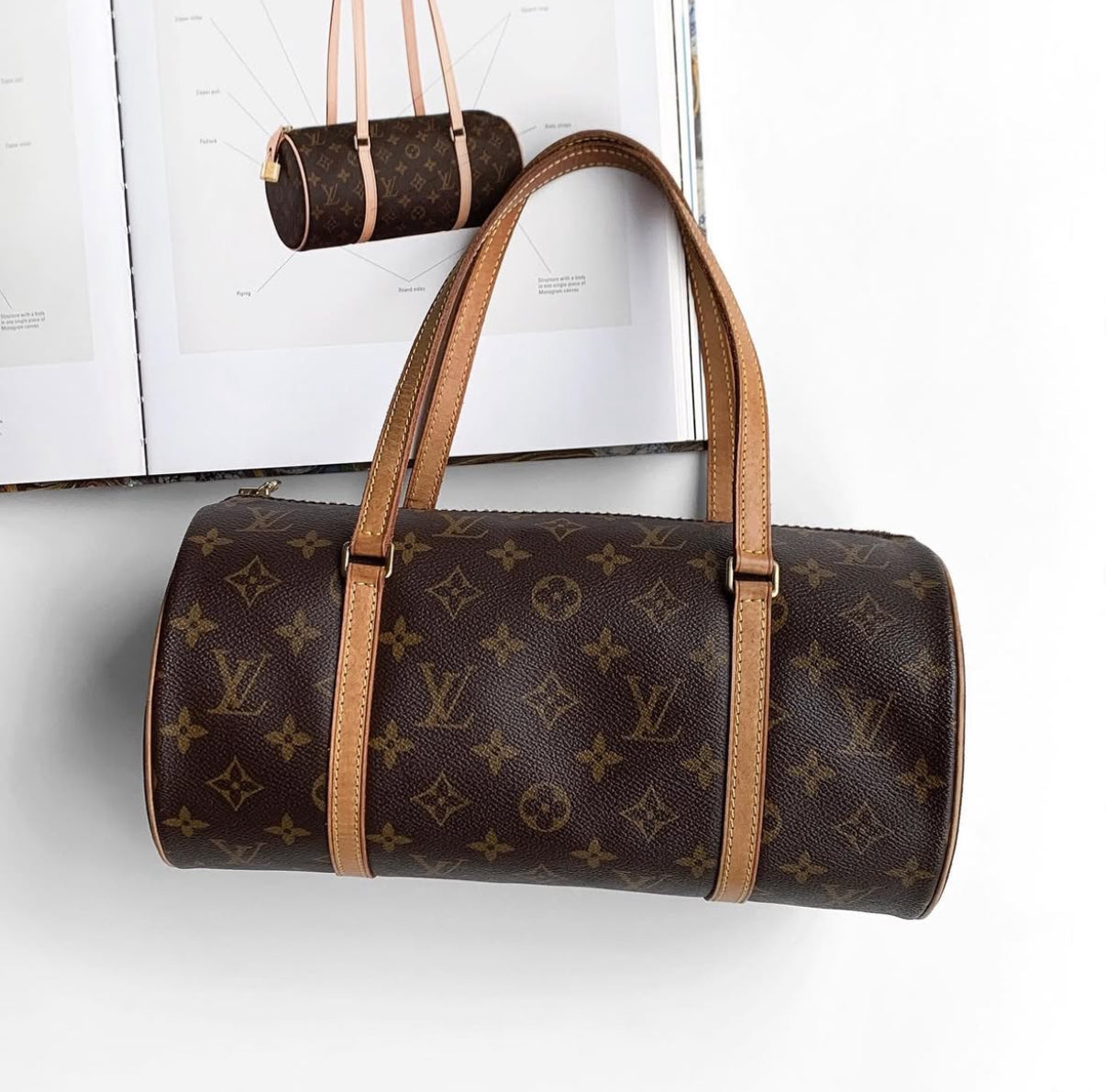 LOUIS VUITTON papillon 30