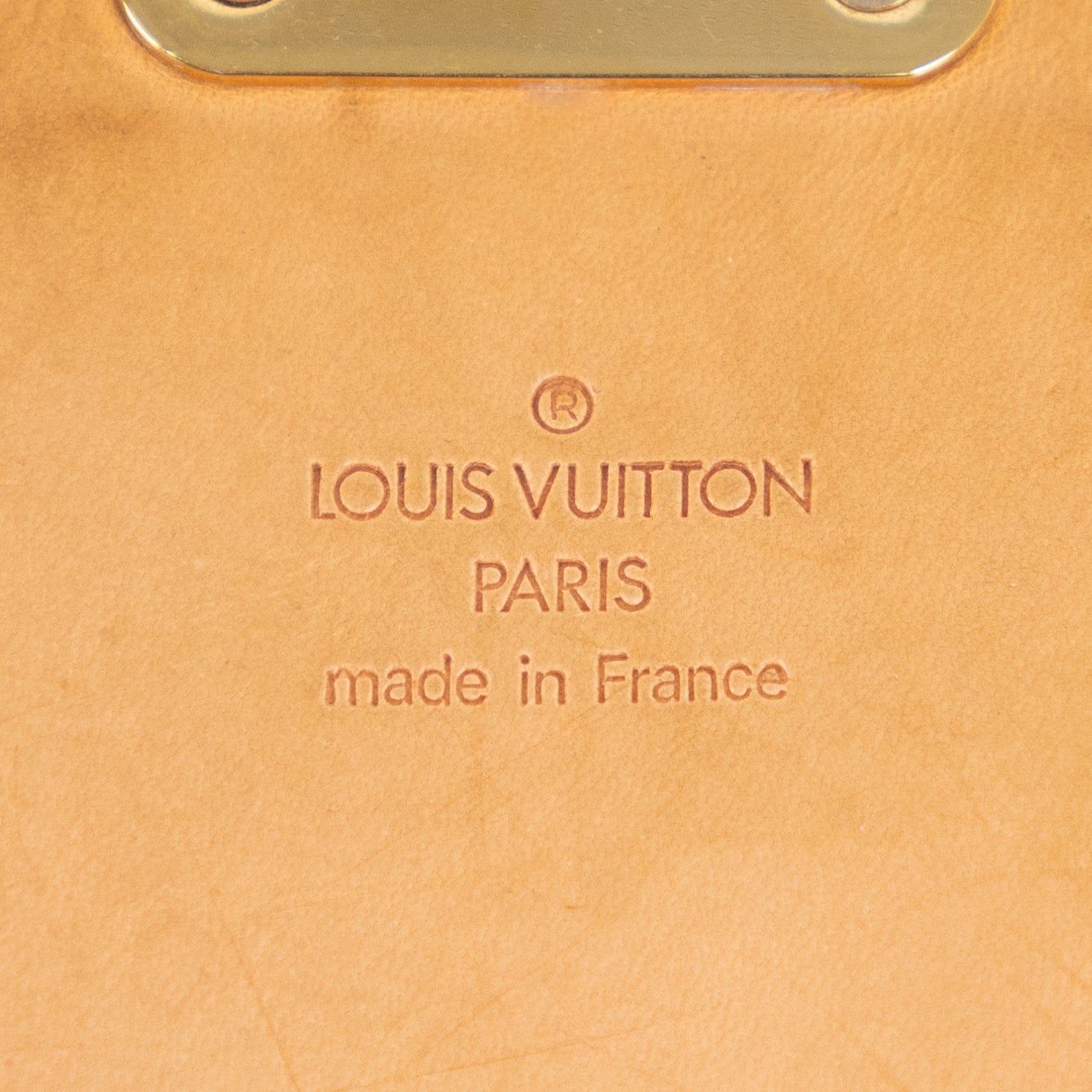 LOUIS VUITTON murakami sologne