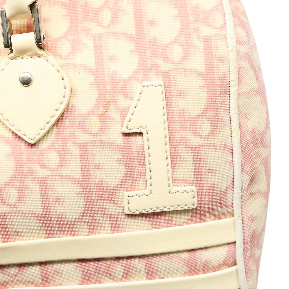 DIOR x John Galliano pink trotter Boston bag