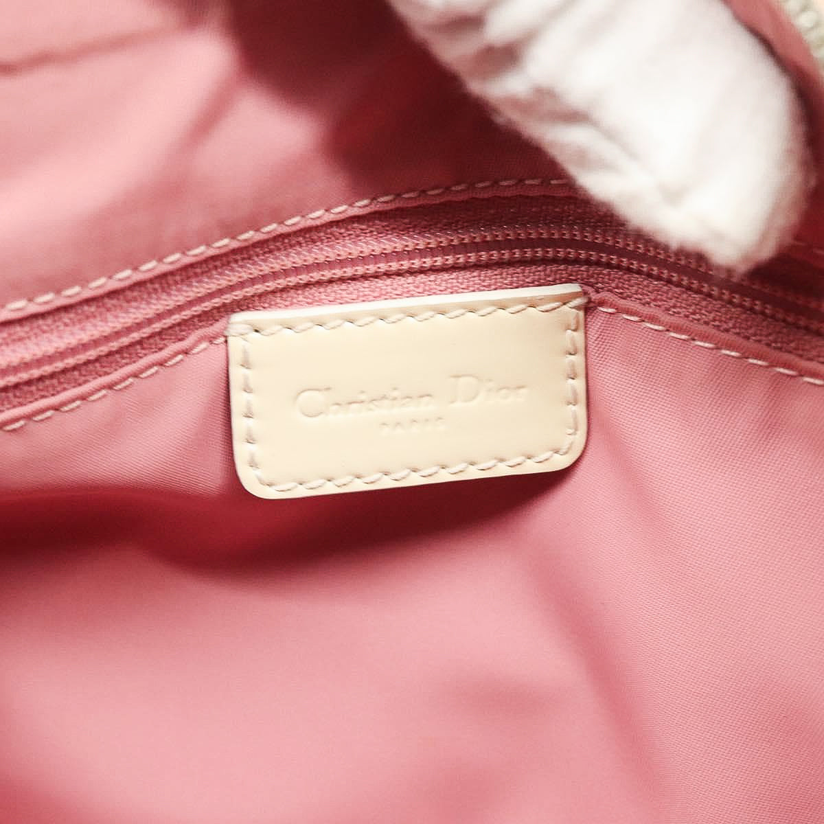 DIOR x John Galliano pink trotter Boston bag