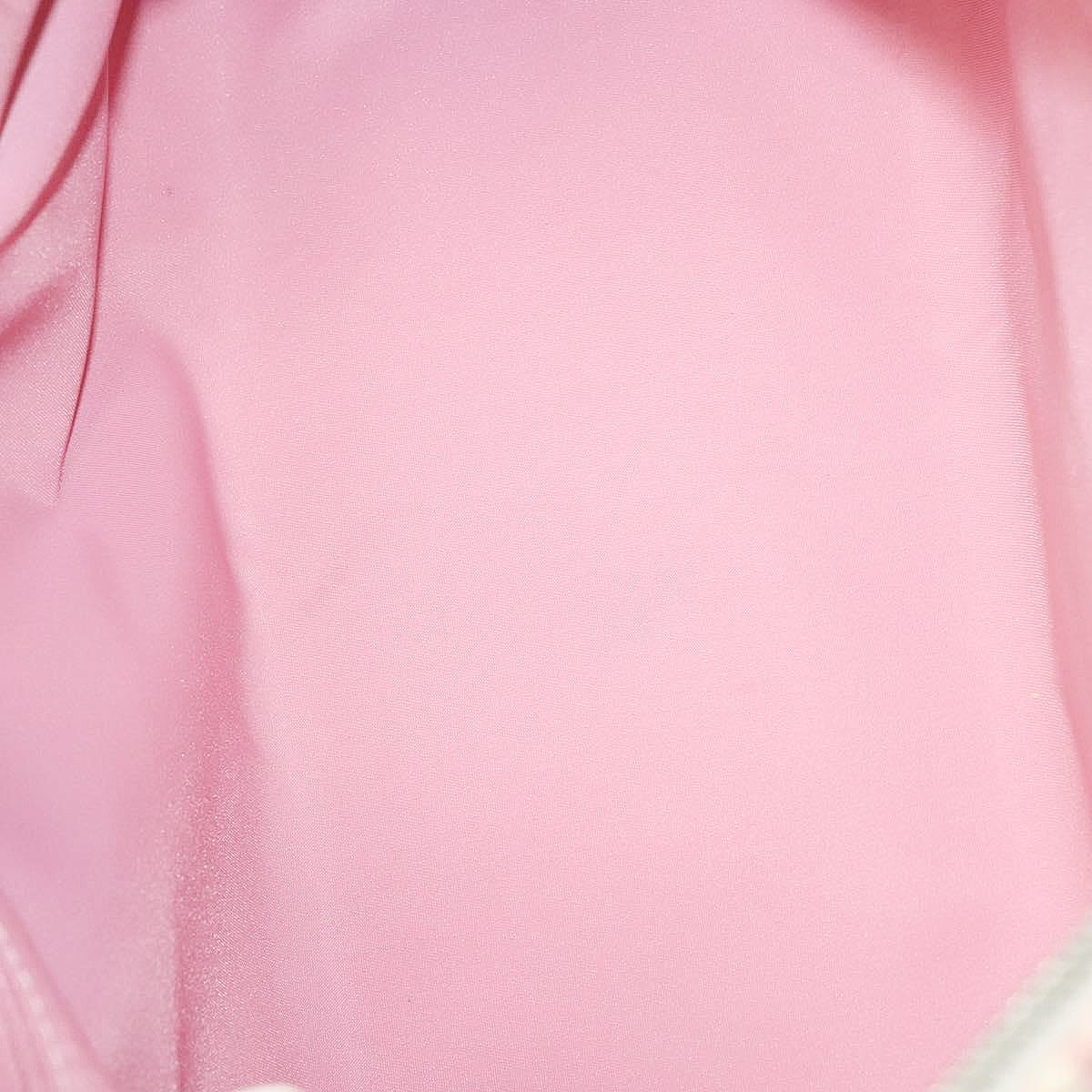 DIOR x John Galliano pink trotter Boston bag