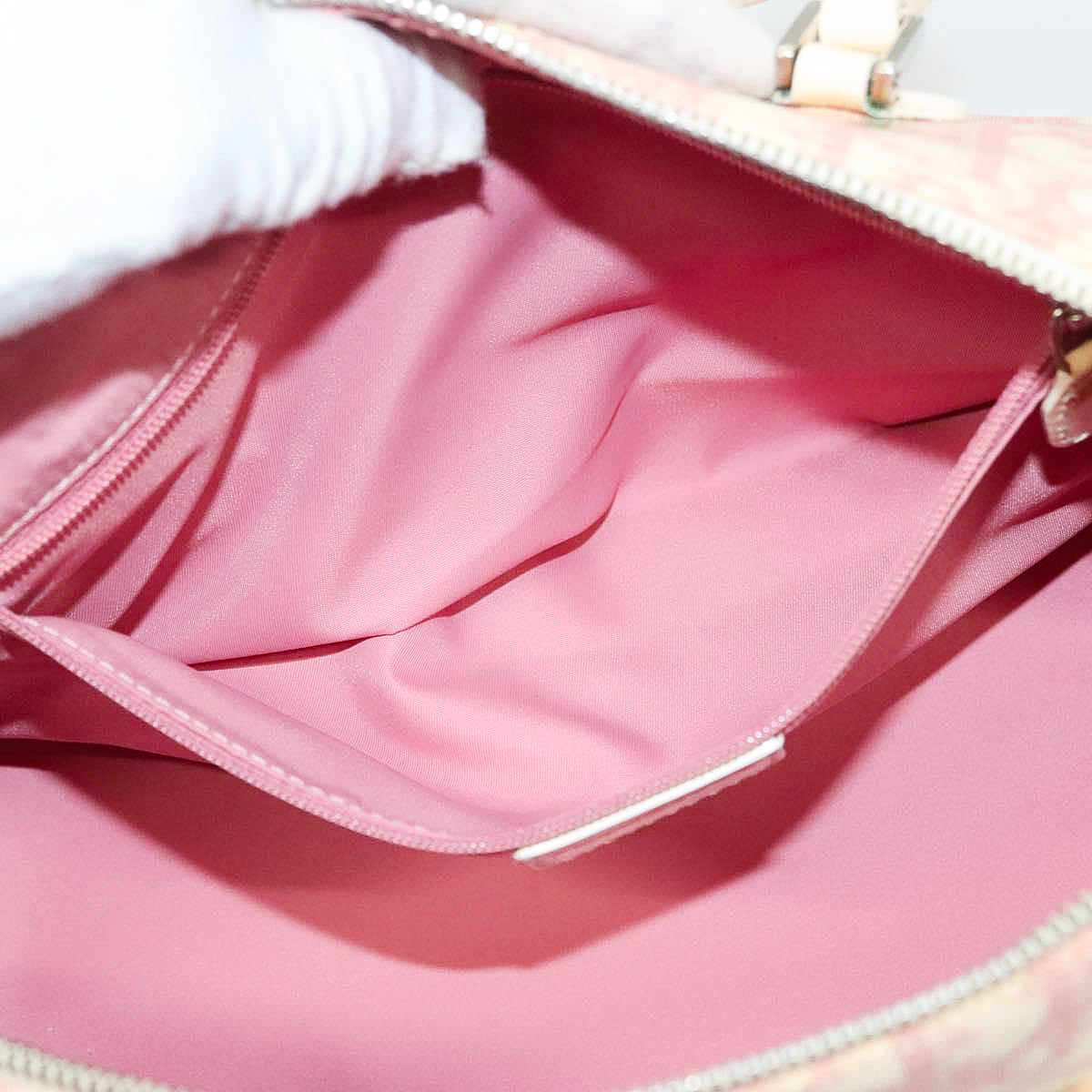 DIOR x John Galliano pink trotter Boston bag