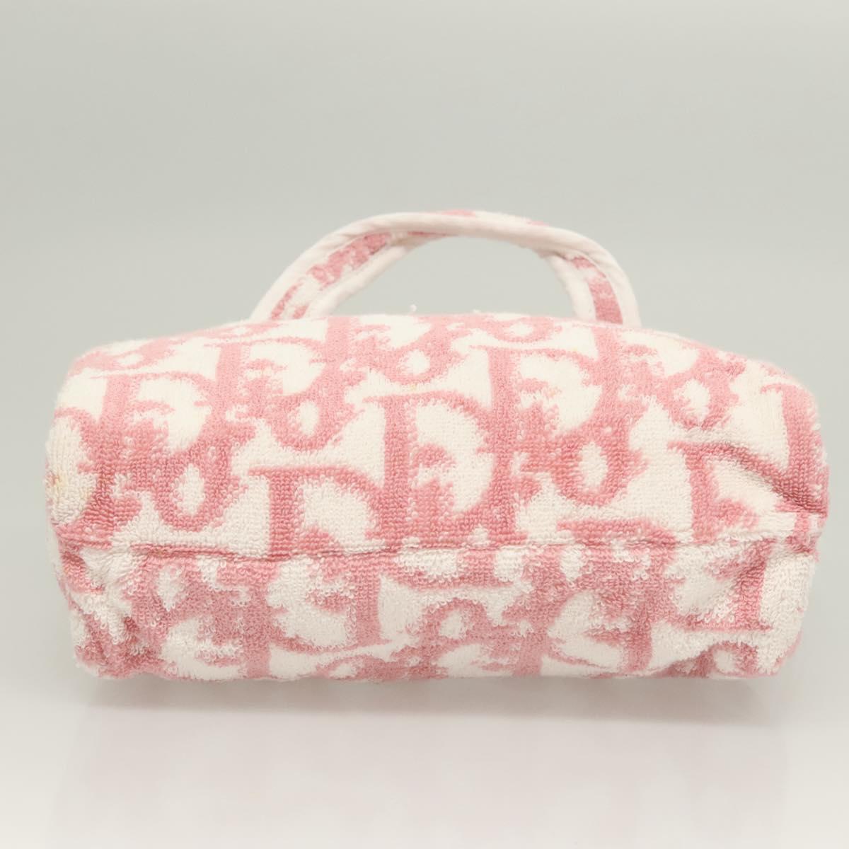 DIOR trotter terry cloth bag