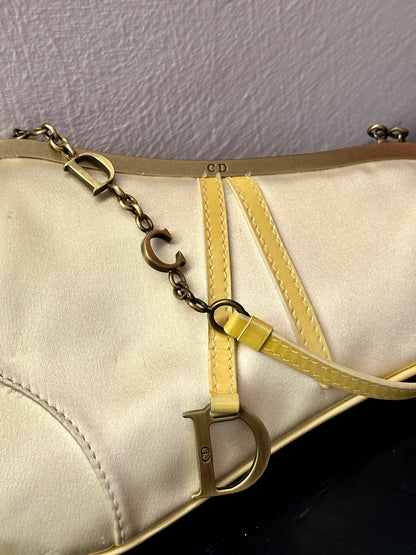 DIOR mini silk saddle bag