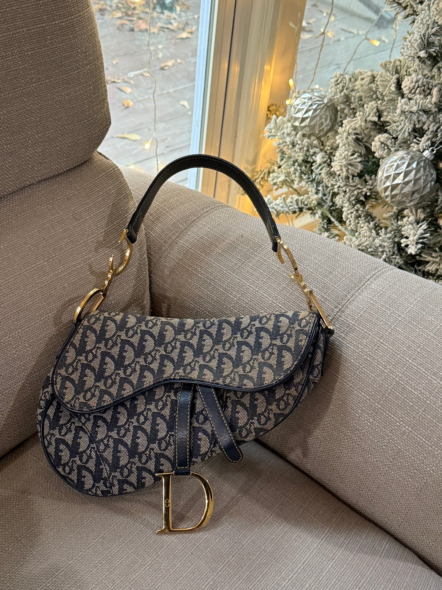 DIOR monogram saddle bag