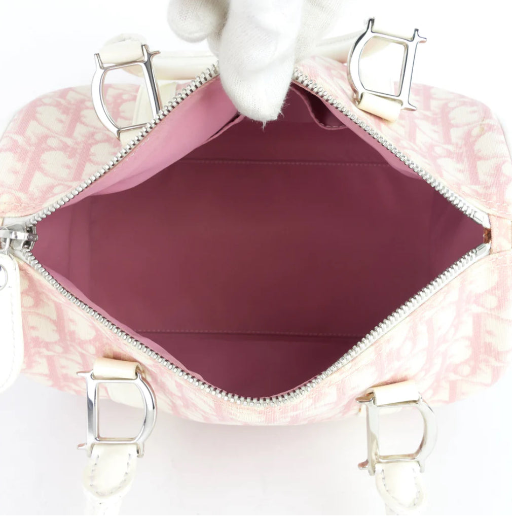 DIOR x John Galliano pink trotter Boston bag