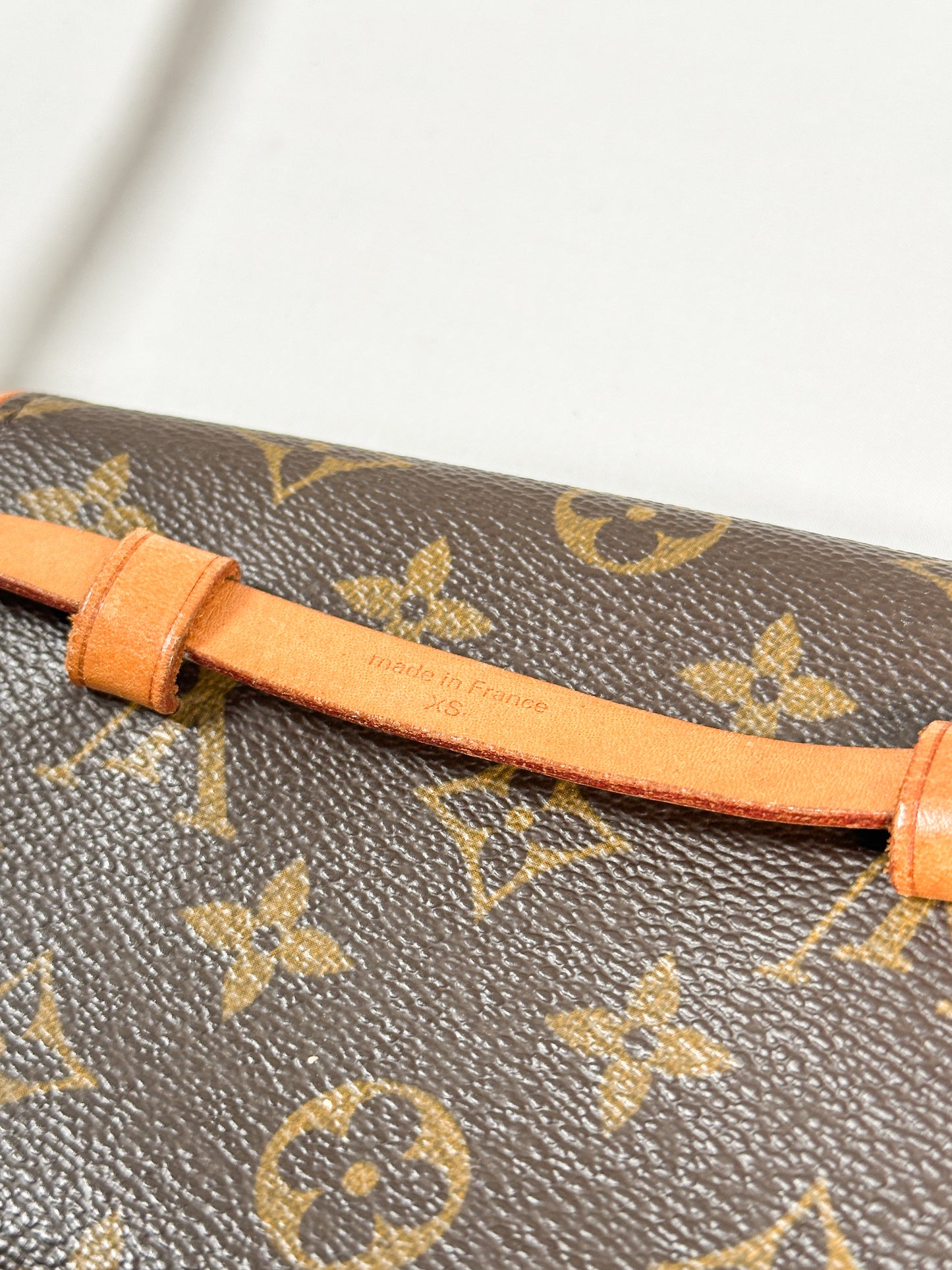 LOUIS VUITTON florentine pochette