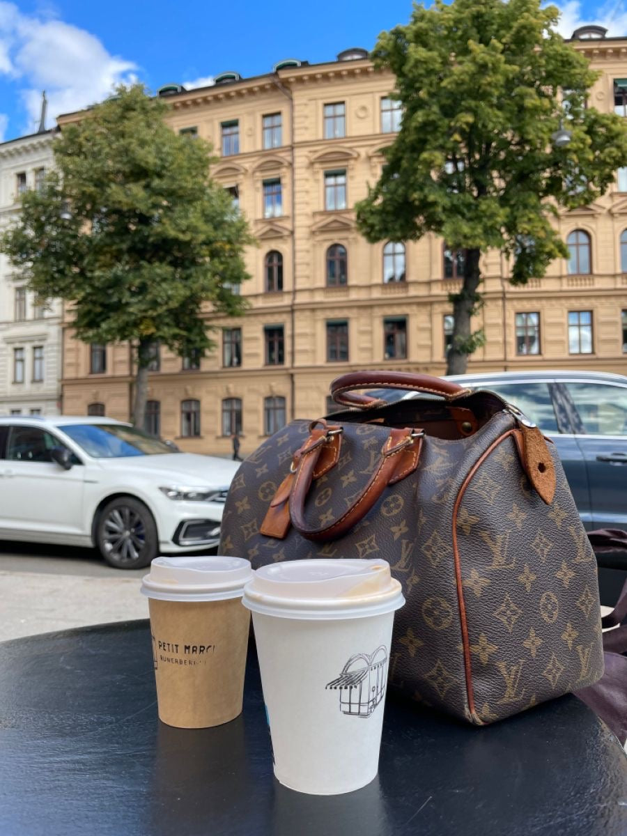 LOUIS VUITTON speedy 25
