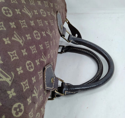 LOUIS VUITTON speedy 30 canvas idylle