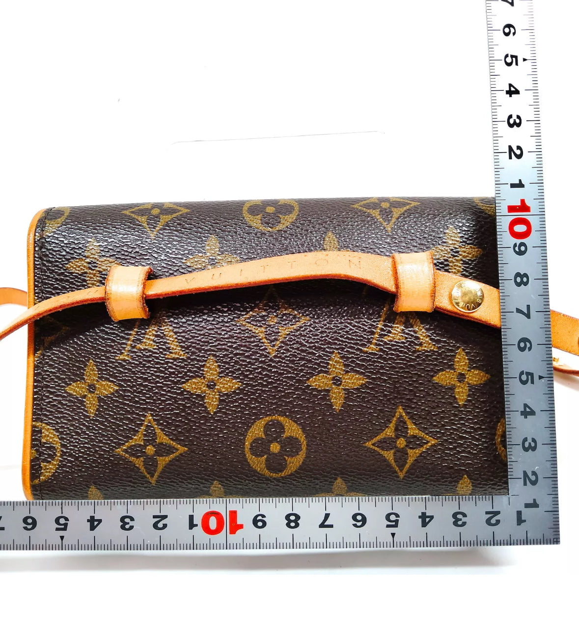 LOUIS VUITTON florentine pochette