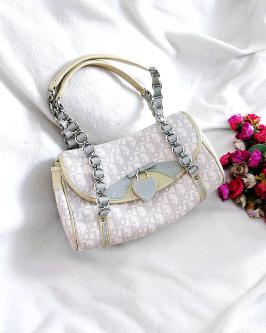 DIOR x John galliano romantique trotter shoulder bag