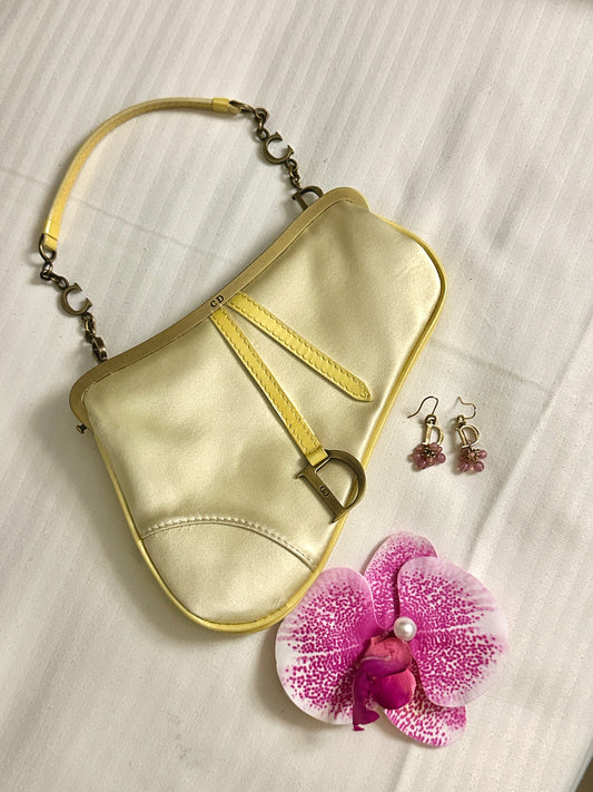 DIOR mini silk saddle bag