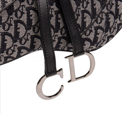 DIOR double saddle bag