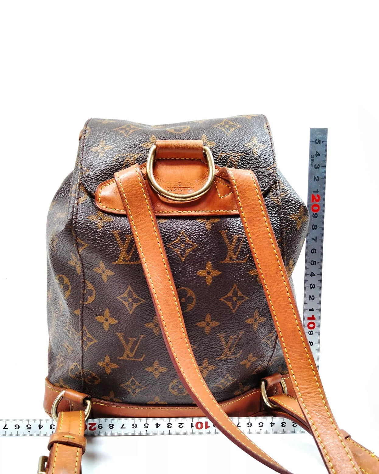 LOUIS VUITTON Montsouris MM backpack