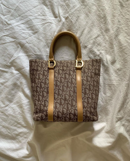 DIOR trotter oblique shopper mini tote