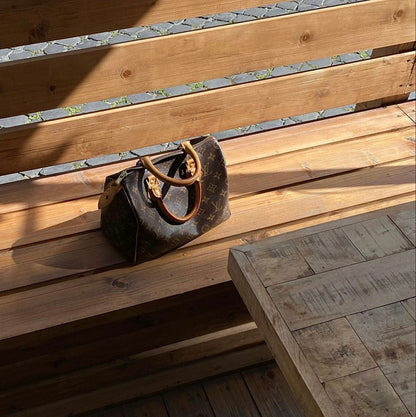 LOUIS VUITTON speedy 25