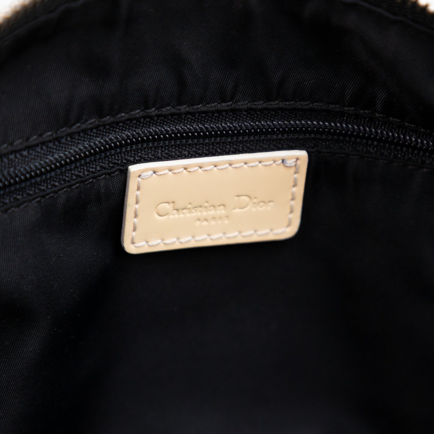 DIOR oblique boston trotter