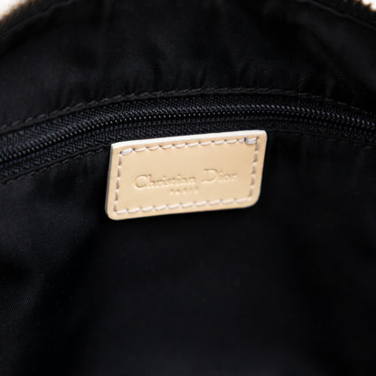 DIOR oblique boston trotter