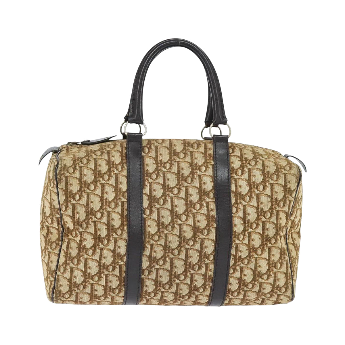 DIOR boston trotter bag