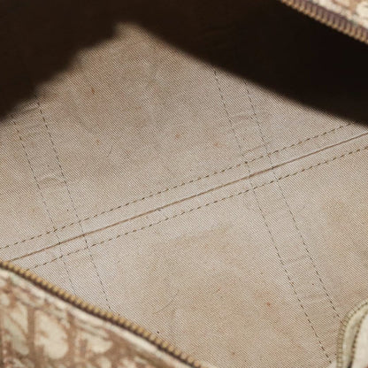 DIOR boston trotter bag