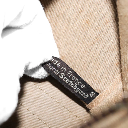 DIOR boston trotter bag