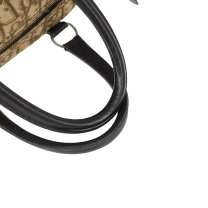 DIOR boston trotter bag