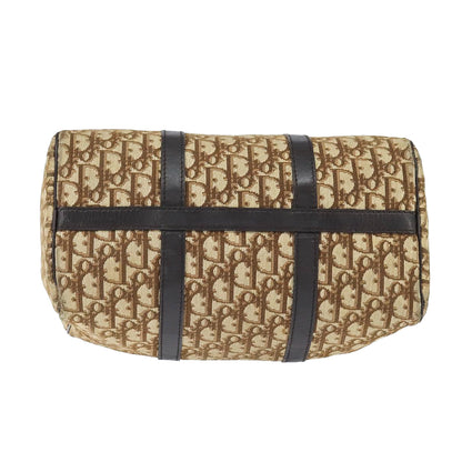 DIOR boston trotter bag