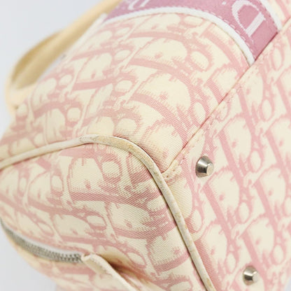 DIOR x John Galliano pink trotter Boston bag