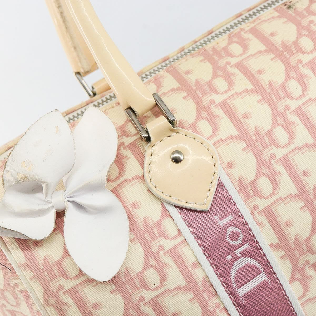 DIOR x John Galliano pink trotter Boston bag