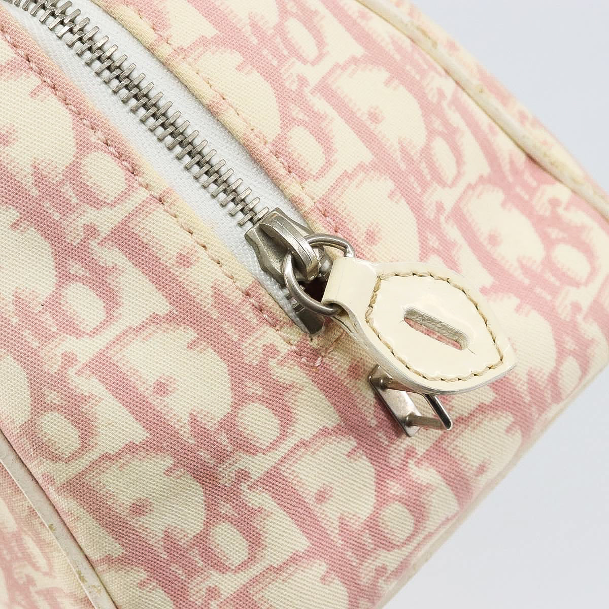 DIOR x John Galliano pink trotter Boston bag