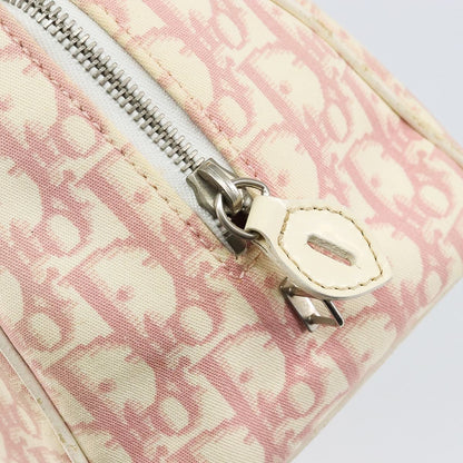 DIOR x John Galliano pink trotter Boston bag