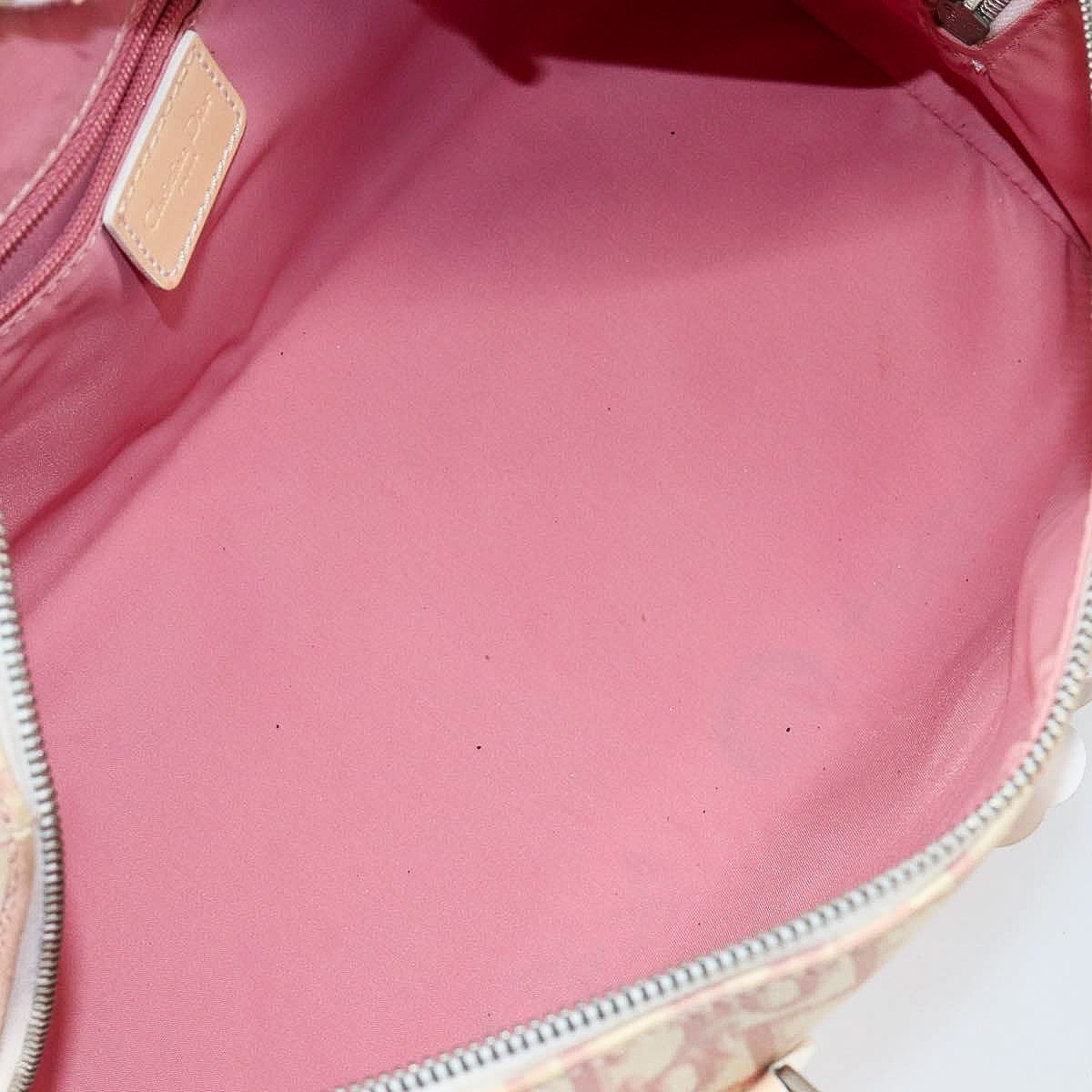 DIOR x John Galliano pink trotter Boston bag