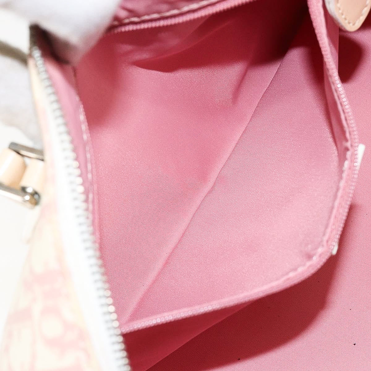 DIOR x John Galliano pink trotter Boston bag