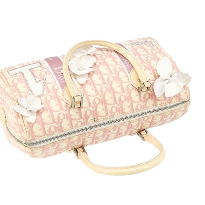 DIOR x John Galliano pink trotter Boston bag