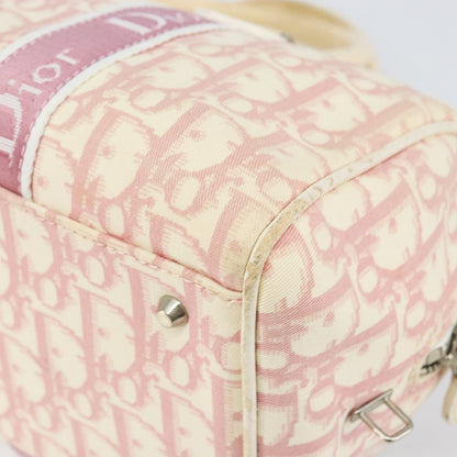 DIOR x John Galliano pink trotter Boston bag