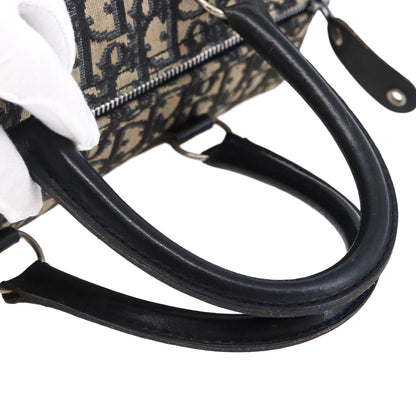 DIOR boston trotter bag