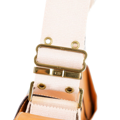 DIOR street chic columbus cargo shoulder bag