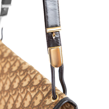 DIOR brown monogram trotter handbag