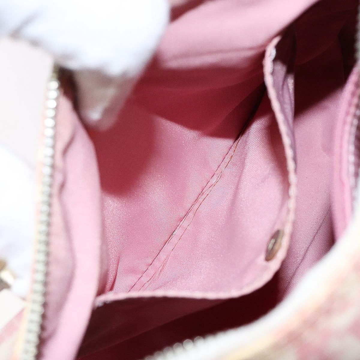 DIOR x John Galliano pink trotter Boston bag