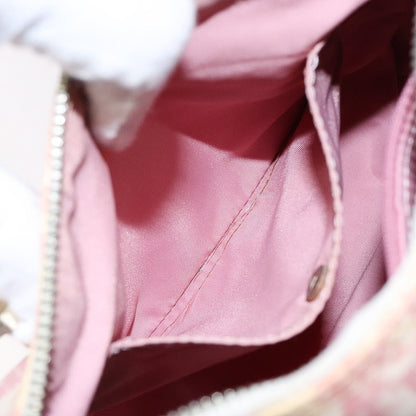DIOR x John Galliano pink trotter Boston bag