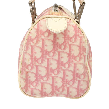 DIOR x John Galliano pink trotter Boston bag