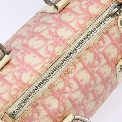 DIOR x John Galliano pink trotter Boston bag