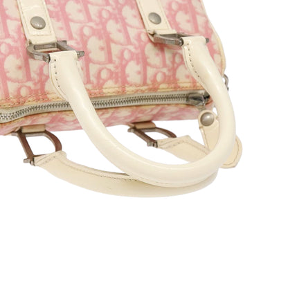 DIOR x John Galliano pink trotter Boston bag