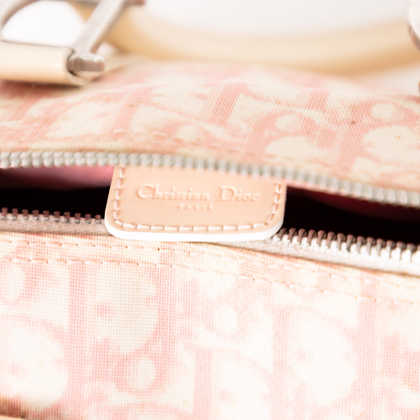 DIOR x John Galliano pink trotter Boston bag